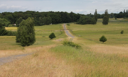 Wanderung durch die Herzogsberge. Foto: Privat