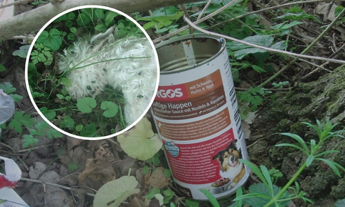 Dies ist eine der Hundefutterdosen, die bei den Hunden aufgefunden wurde. Foto: Polizei Edemissen
