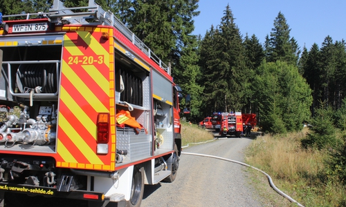 Die Kreisfeuerwehrbereitschaft Wolfenbüttel West übte am Samstag im Harz. Fotos: Anke Donner/Kreisfeuerwehr Goslar/Bundesverband Rettungshunde e.V.
