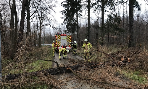 Fotos: Feuerwehr Stadt Bad Harzburg