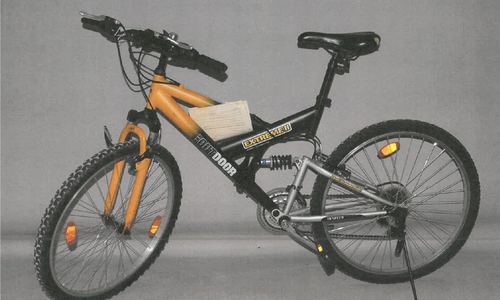Das sichergestellte Fahrrad. Foto: Polizei