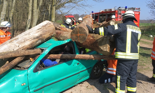Ein Auto wird unter Holz begraben - Zum Glück nur ein Übungsszenario. Fotos: Feuerwehr Schöppenstedt