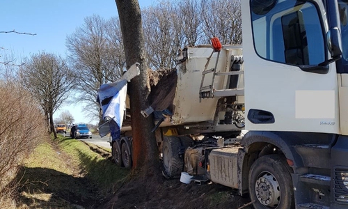 Der LKW blieb am Baum hängen. Fotos: Feuerwehr Samtgemeinde Velpke
