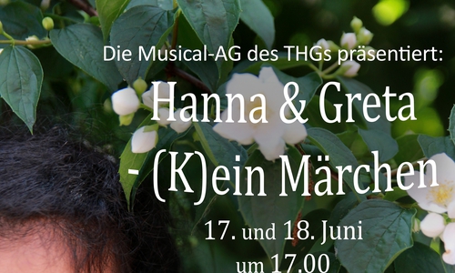 Die Musical-AG des Theodor-Heuss-Gymnasiums lädt zu den Aufführungen des neusten Stückes ein. Foto: THG