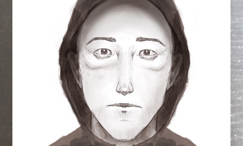 Mit diesem Phantombild wird nach dem Täter gefahndet. Foto: Polizei
