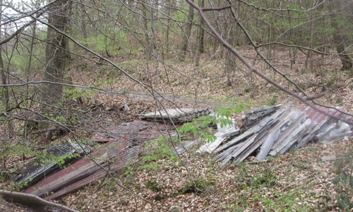 Rund 150 Quadratmeter Asbestzementplatten sind im Lappwald illegal entsorgt worden. Foto: Landkreis Helmstedt