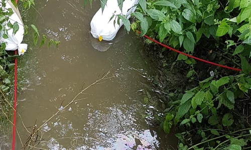 Der Ölfilm auf der Brunnenriede. Foto: Polizei
