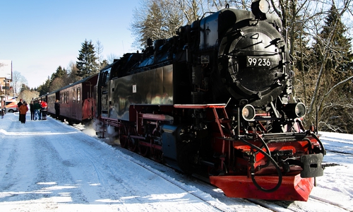 In Wernigerode stiegen alle in die Brockenbahn. Fotos: Hospiz Wolfsburg