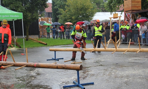 Am Wochenende wurde der Motorsägen-Cup 2016 ausgetragen. Der Sieger ist Philip Sander aus dem Niedersächsischen Forstamt Wolfenbüttel. Foto: Landesforsten Niedersachsen. 