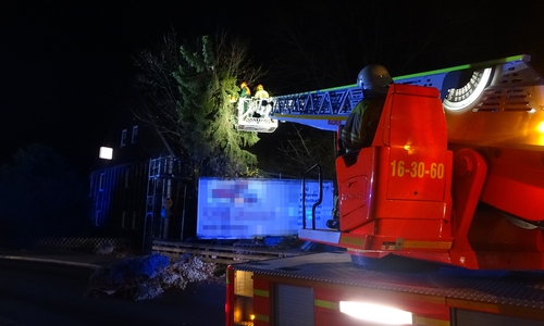 Der Baum drohte weiter auf die Straße zu kippen. Foto: Feuerwehr
