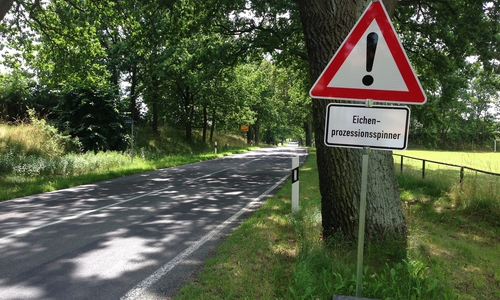 Symbolfoto: Archiv