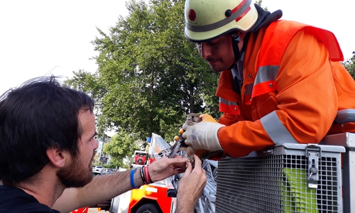 Falkner Mario Laumeyer (links) und Feuerwehrmann Sven Dost (rechts) kurz nach der Rettung des Greifvogels. Foto: Feuerwehr Wolfenbüttel