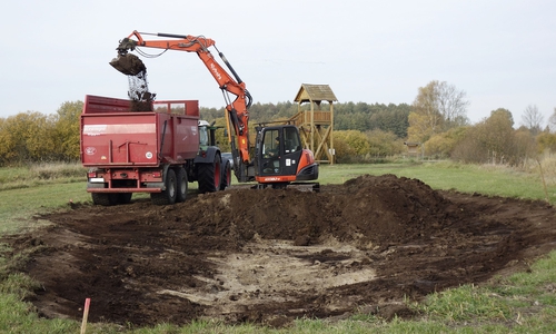 In der Ortschaft Kaiserwinkel werden neue Laichgewässer angelegt. NABU/Joachim Neumann