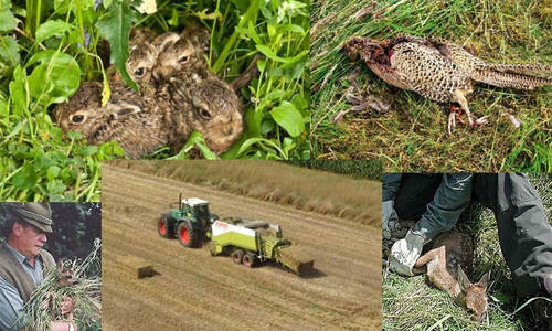 Unzählige Tiere sind schon den unerbittlich rotierenden Kreiseln zum Opfer gefallen. Fotos: NABU