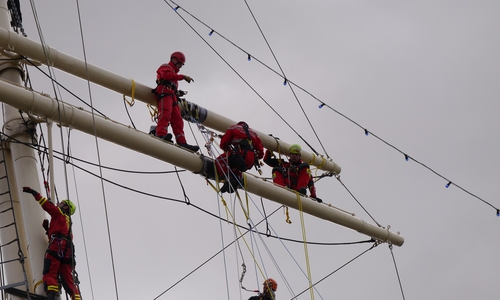 Rettung eines Seemanns aus der Takelage. Fotos: Feuerwehr Braunschweig