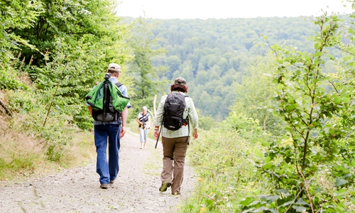 Ob Quellenwanderung, Afterwork oder Themen-Tour - Bad Harzburg bietet viele Wander-Möglichkeiten an. Foto: Kur- Tourismus- und Wirtschaftsbetriebe der Stadt Bad Harzburg