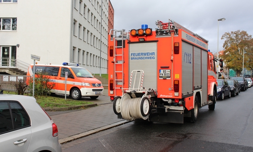 Feuerwehr und Polizei rückten für eine Tierrettung in der Kasernenstraße aus. Foto: Bernd Dukiewitz