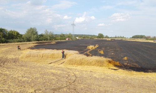 Die Feuerwehr konnte den Brand schnell löschen. Foto: Feuerwehr