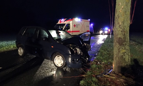 Das Auto prallte frontal gegen einem Baum. Video/Foto: aktuell24 (DC/KR)