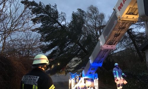 Hier ein Baumeinsatz in Grasleben. Fotos: Feuerwehr Helmstedt