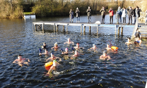 21 begeisterte Schwimmer trauten sich beim Eisschwimmen im Fümmelsee ins 4 Grad kalte Wasser. Foto: WSV21
