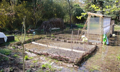 Einige Kleingärten stehen unter Wasser. Fotos: Rudolf Karliczek