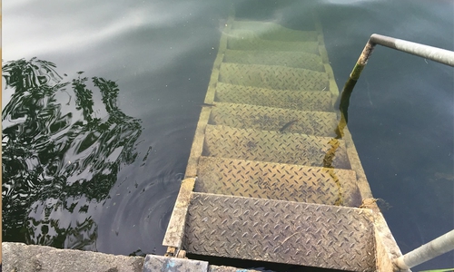 Klare Sicht im Fümmelsee. So bleibt das Wasser algenfrei. Foto: Max Förster