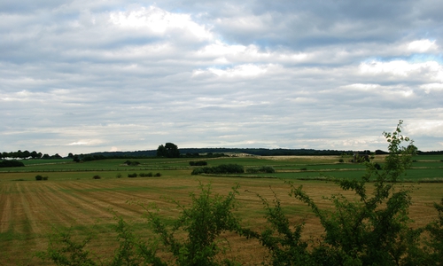 Foto: Ch. Rothe-Auschra Landschaft in Schandelah-Wohld

