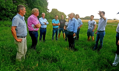 Der Beirat Sonnenkamp bei der Planung vor Ort. Foto: Stadt Wolfsburg
