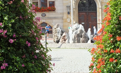 Blumenpracht vor dem Rathaus. Fotos: Achim Klaffehn