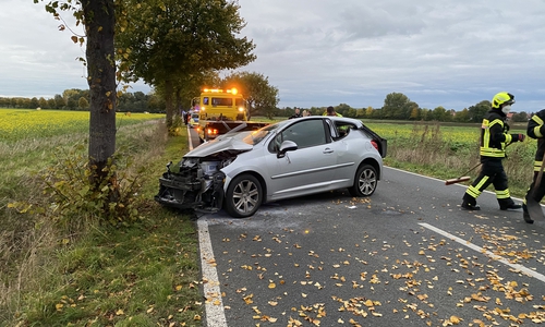 Das Auto war gegen einen Baum gefahren.