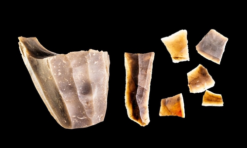 Zirka 7.500 Jahre alte Feuersteinartefakte vom Fundplatz Gifhorn-Wittkopsberg.