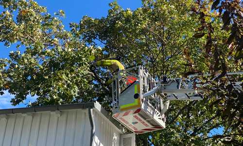 Die Feuerwehr musste den Ast Stück für Stück absägen.