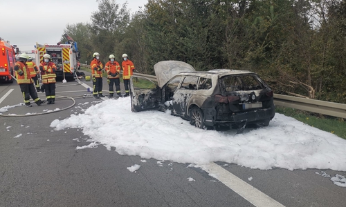 Das Elektroauto brannte auf dem Seitenstreifen vollständig aus. 