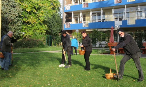Insgesamt wurden in diesem Jahr 9.000 Krokusse gepflanzt.
