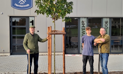 Der Amberbaum wurde vor das neue Feuerwehrhaus gepflanzt.