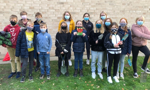Die Schüler pflanzten 250 Tulpen auf dem Schulgelände.