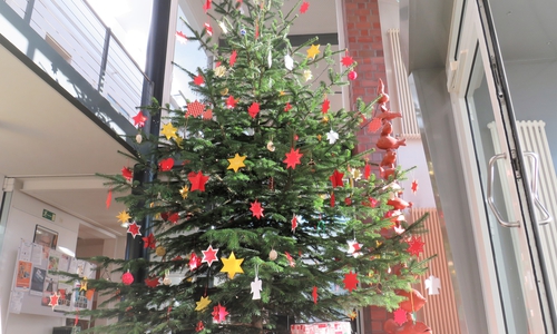 Der Weihnachtsbaum steht im Foyer des Rathauses.