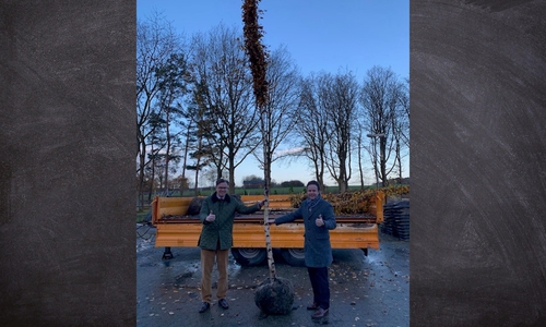 Landrat Dr. Andreas Ebel (l.) und Dr. Patrick Kuchelmeister, Vorstand der Sparkasse Celle-Gifhorn-Wolfsburg, gaben den Startschuss für die Nachpflanzung von Alleen.