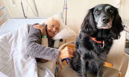 Seit August ist Lolle auf der Geriatrie tätig.
