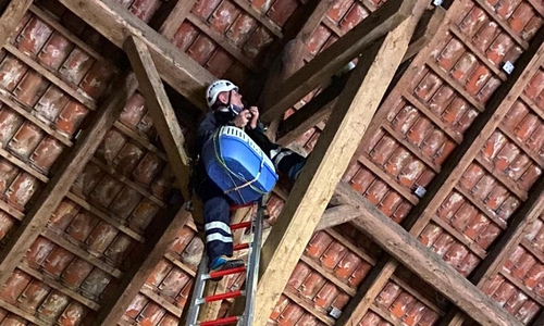 Ein Feuerwehrmann holt die Katze aus dem Dachgebälk.