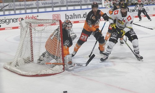Grizzlys-Krefeld 