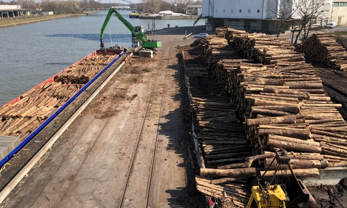 Holzverladung im Hafen Braunschweig.