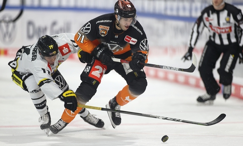 Grizzlys-Krefeld 