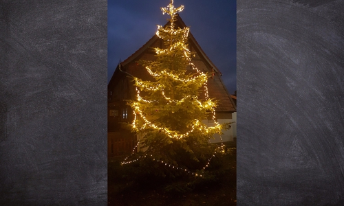 Auf dem Hachumer Dorfplatz wurde ein Weihnachtsbaum aufgestellt.