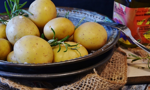 Pellkartoffeln oder Kartoffeln werden weniger gegessen, Kartoffelprodukte legen im Handel zu.