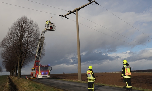 Ein Mitarbeiter der Avacon wurde mit der Drehleiter nach oben gefahren, um zu prüfen, ob noch Strom auf der Leitung liegt.