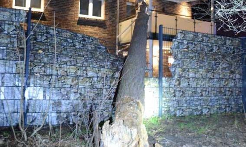 In Gifhorn fiel ein Baum auf ein Wohnhaus.