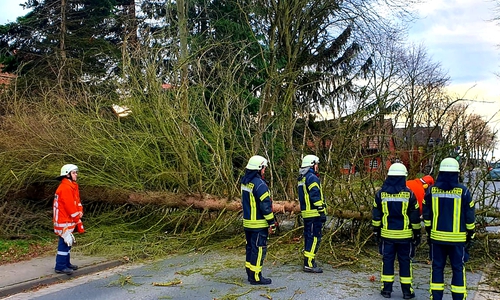 In Abbesbüttel musste ein Baum von einer Straße entfernt werden.