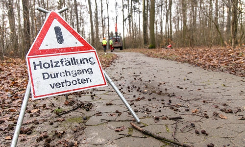 Symbolfoto.
